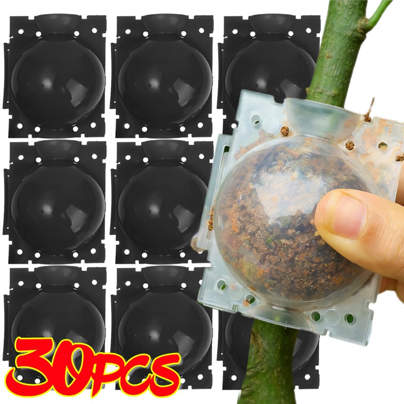 Gardening Tools Rack - Reusable Plant Rooting Ball Grafting Tools