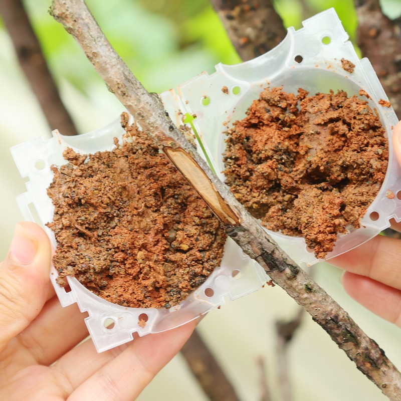 Reusable Plant Rooting Ball Gr - Gardening Tools Rack recension och pris
