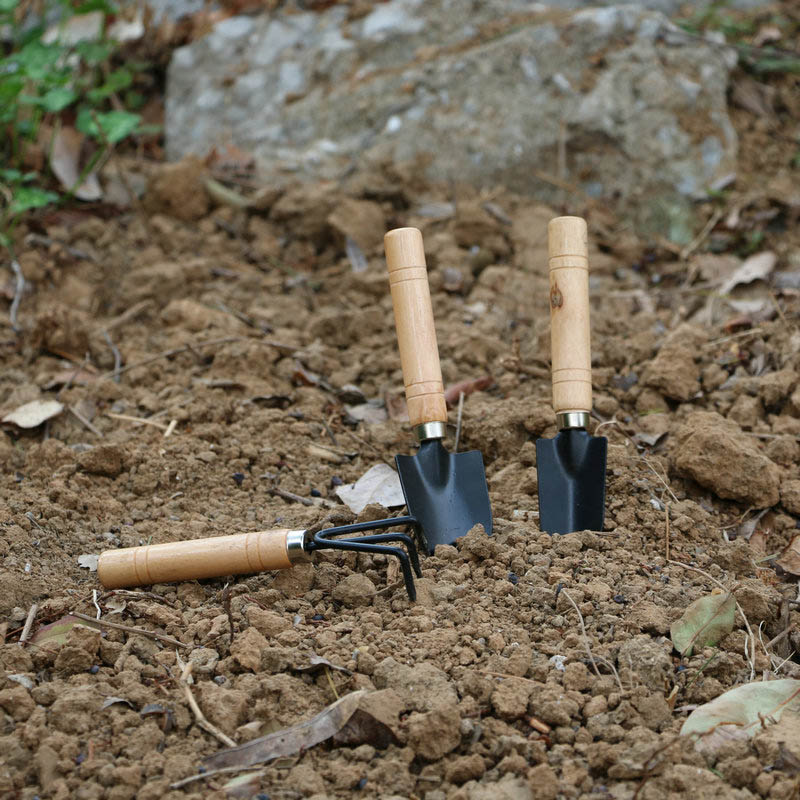 3Pcs/Set Mini Garden Tool Set  - Gardening Tools Bundle recension och pris