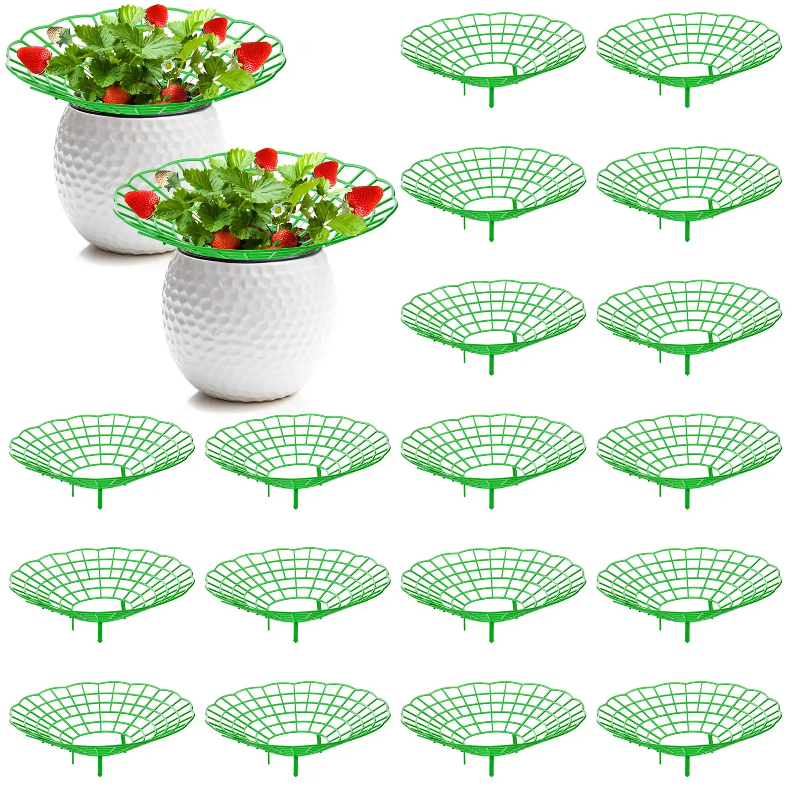 10PCS Vegetable Growing Rack G - Gardening Tools Rack recension och pris