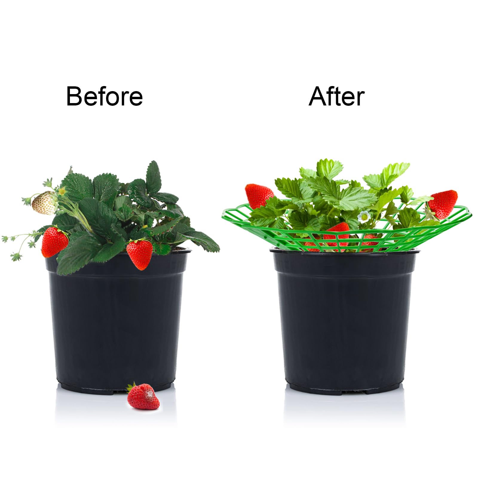 10PCS Vegetable Growing Rack G - Gardening Tools Rack recension och pris