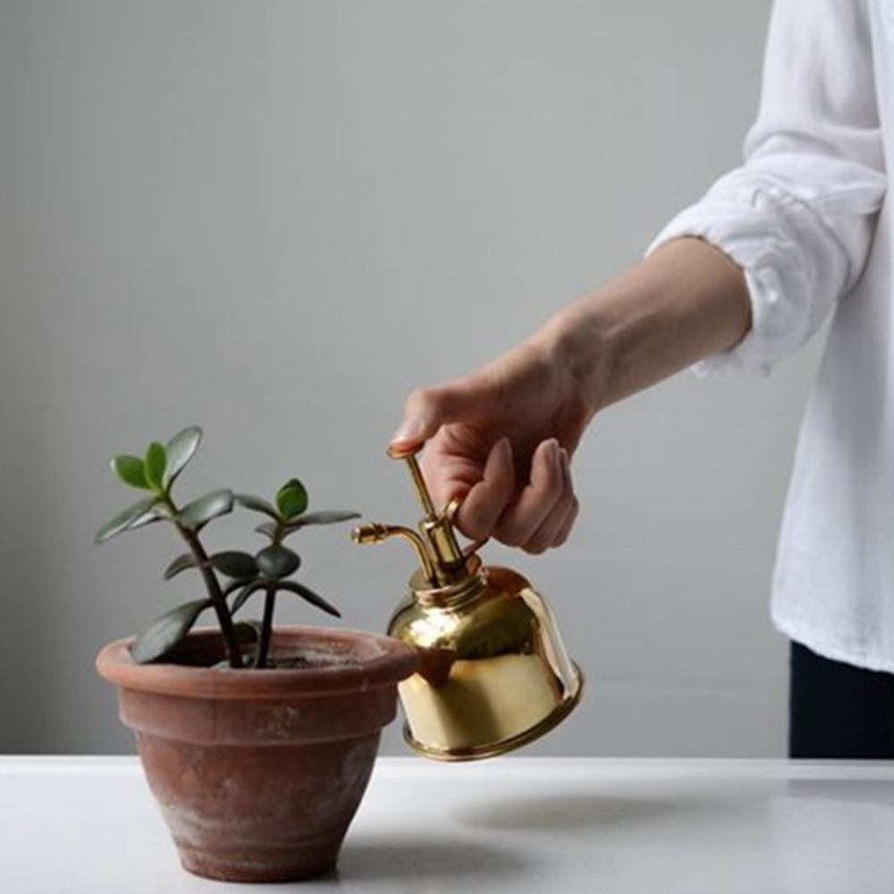 Brass Watering Can Spray Bottl - Gardening Tools Vintage recension och pris