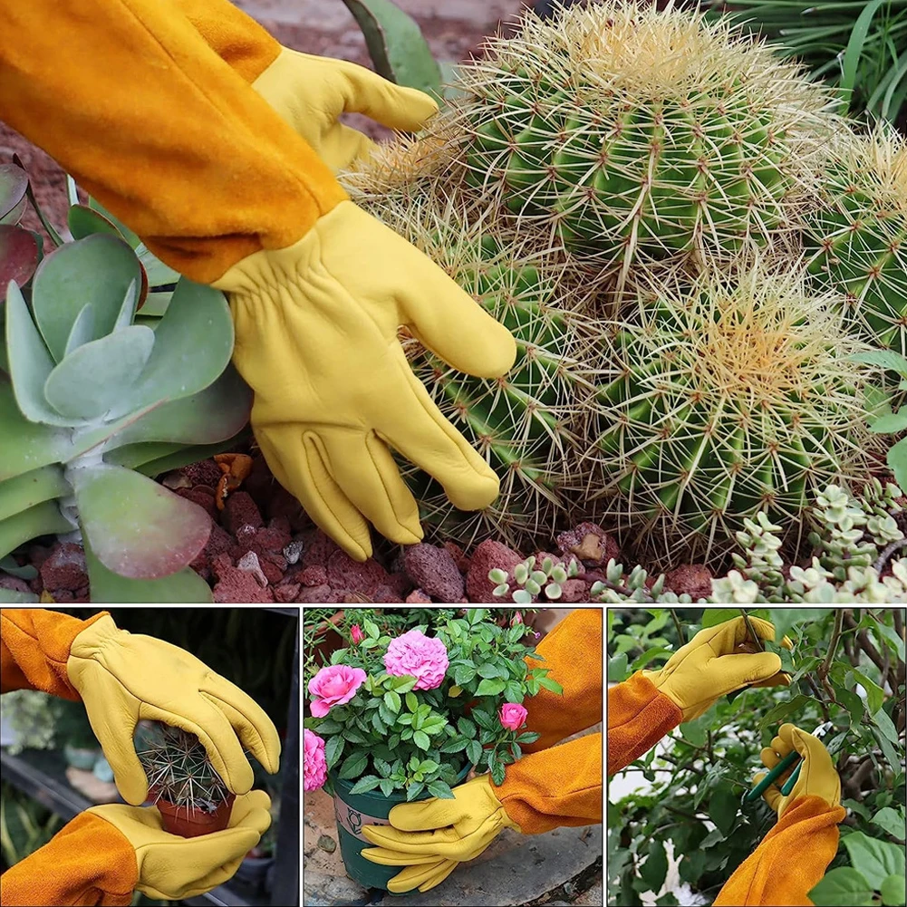 1 Pair Long Thorn Proof Rose P - Garden Gloves Thorn Proof recension och pris