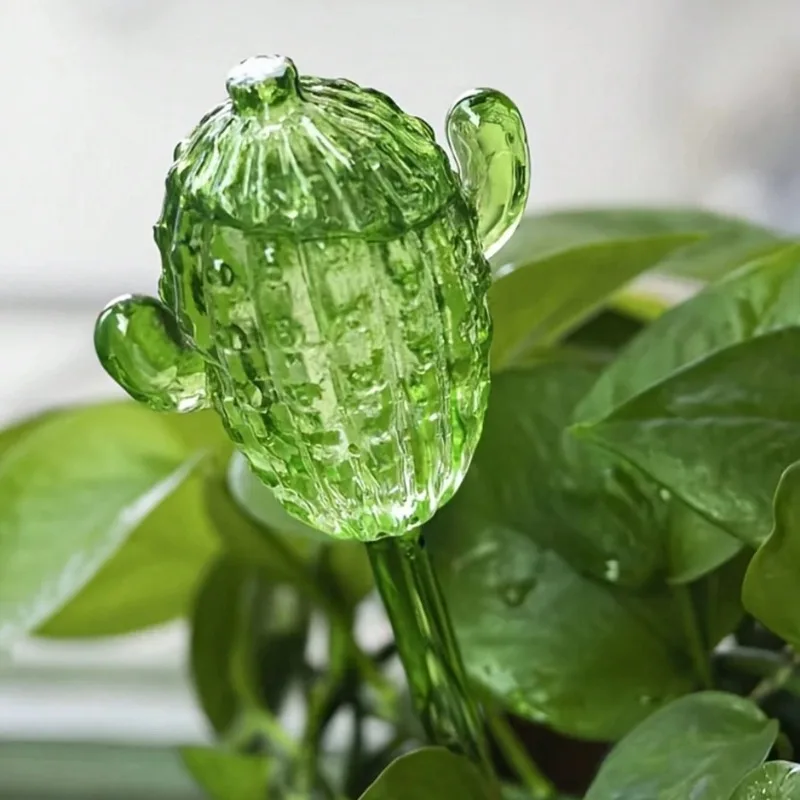 Unique Clear Plant Watering Ca - Gardening Tools Unique recension och pris