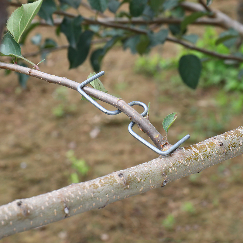30pcs/set Fruit Tree Branch Pu - Gardening Tools Bundle recension och pris