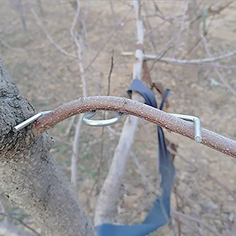 30pcs/set Fruit Tree Branch Pu - Gardening Tools Bundle recension och pris