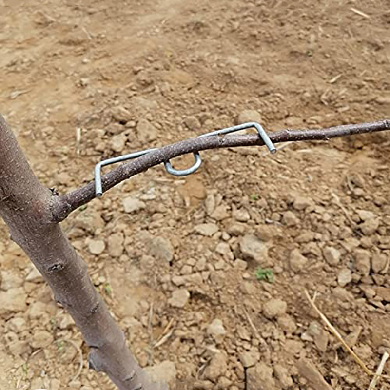 30pcs/set Fruit Tree Branch Pu - Gardening Tools Bundle recension och pris