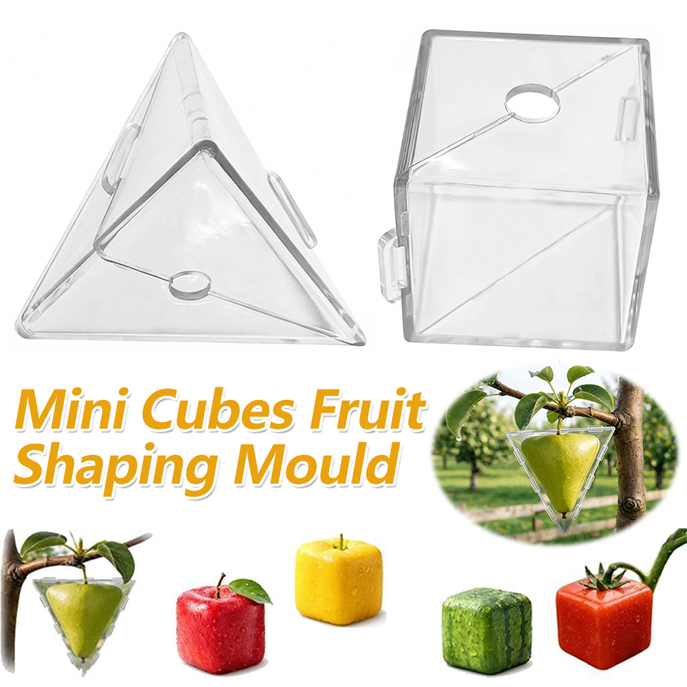 Mini Cube Fruit Shaping Mould  - Gardening Tools Unique recension och pris