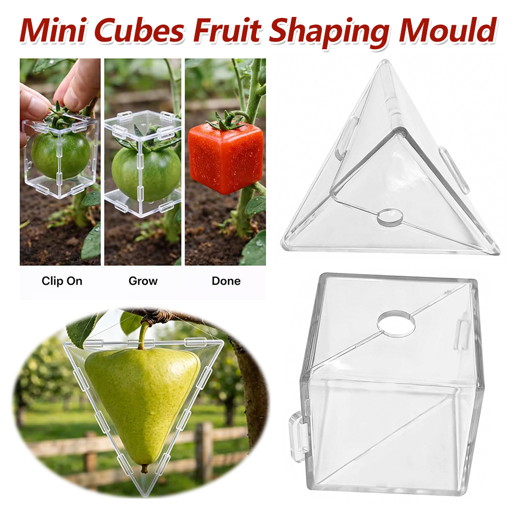 Mini Cube Fruit Shaping Mould  - Gardening Tools Unique recension och pris