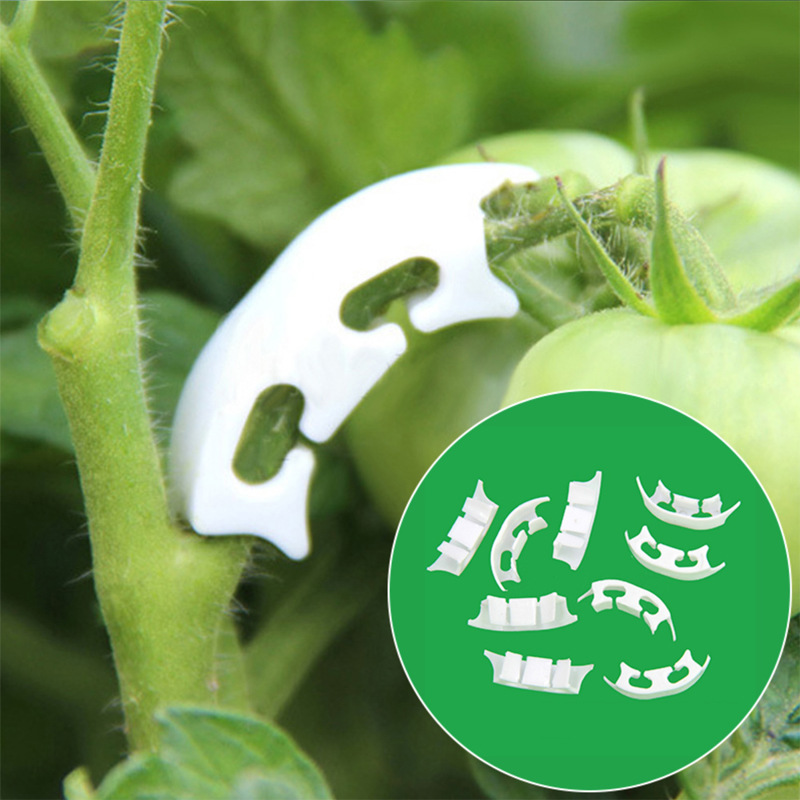 50/100pcs Botany-stem Vine Str - Gardening Tools Bundle recension och pris